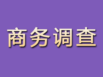 汉川商务调查